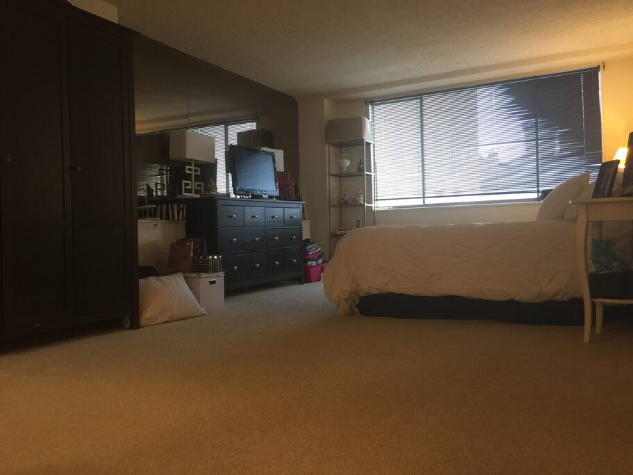 Huge bedroom with hdtv and Netflix