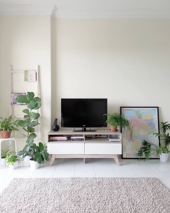 the living room