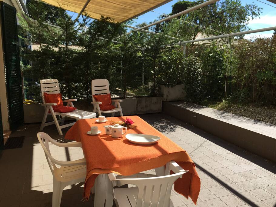The terrace