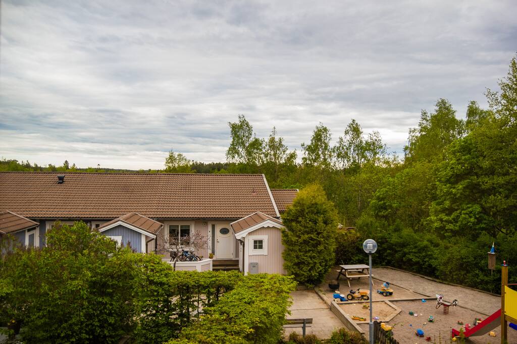 View from window