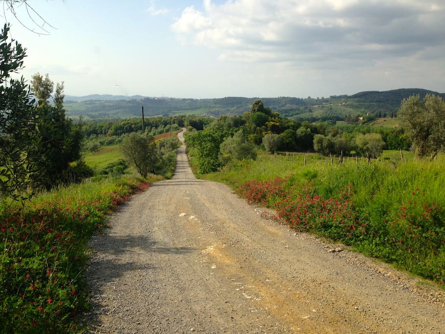 The unmade road to agriturismo Le Capanne