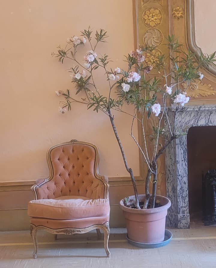 غرفة المعيشة