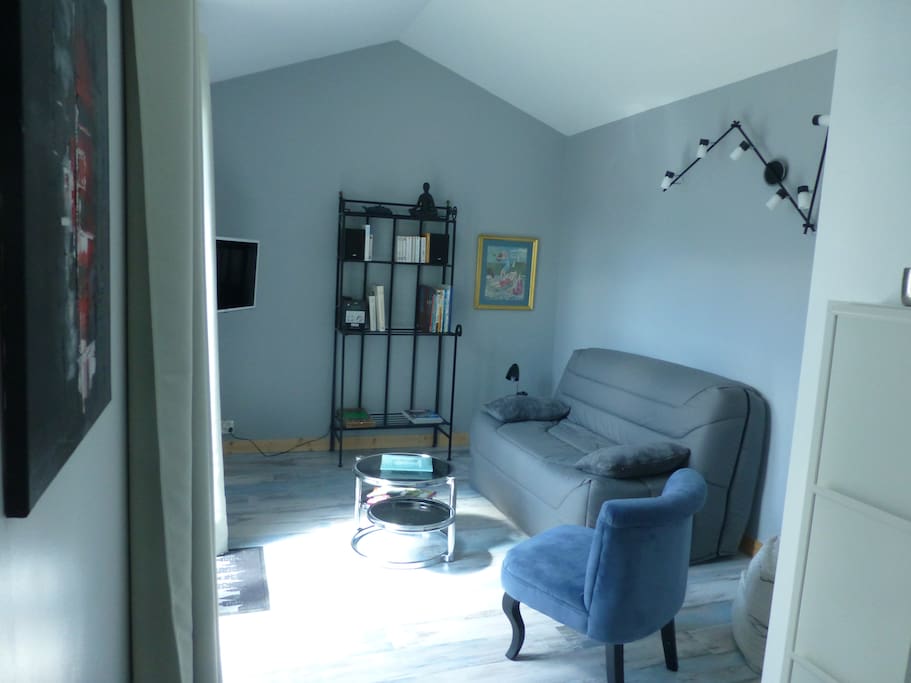 Votre petit salon avec porte-fenêtre donnant sur le jardin, canapé BZ