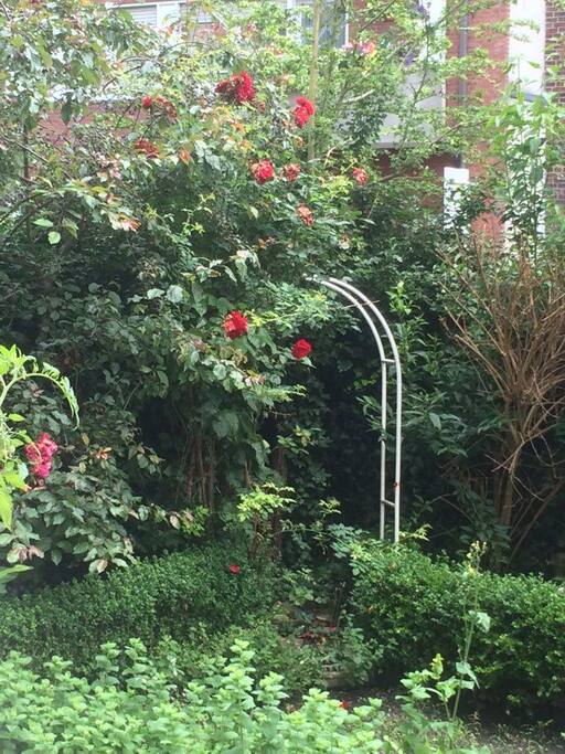 Garten 2