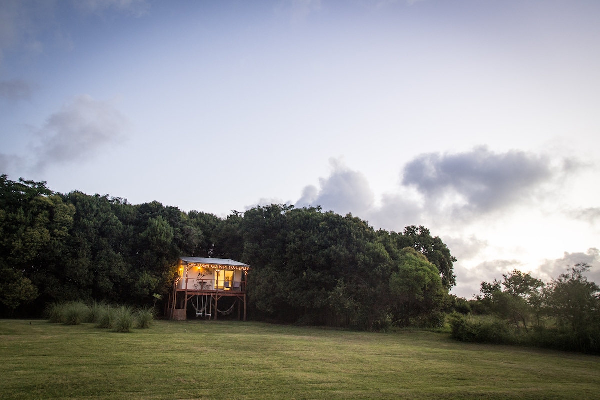 A small treehouse is nestled among lush greenery, surrounded by a spacious grassy area. Soft evening light glows from the windows, creating a warm and welcoming ambiance. The horizon is marked by gentle clouds, suggesting a serene, tranquil atmosphere.