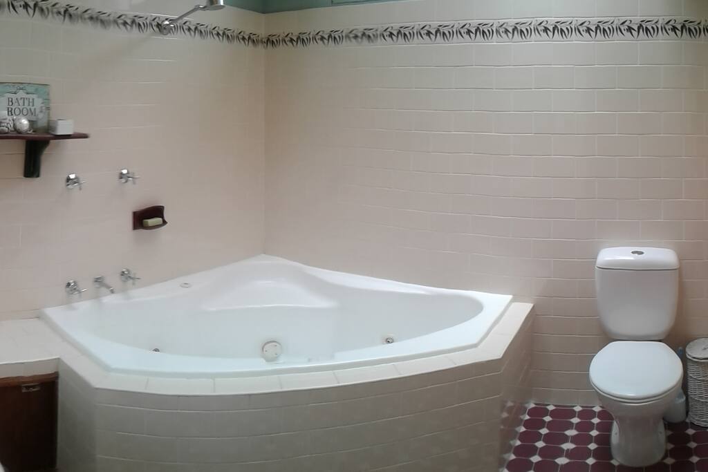 Bathroom with large skylight and spa.