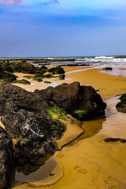 Show full-screen, host-provided image