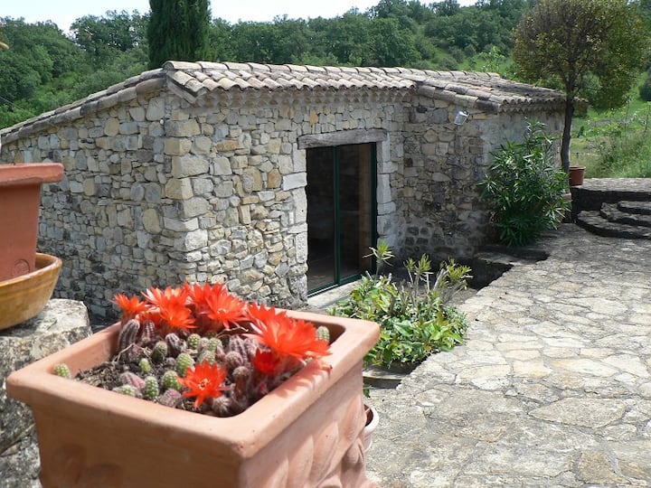 Gîte Figuier Au Relais De Vazeille - Alba-la-Romaine