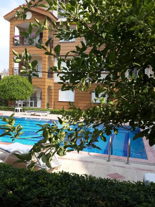 Swimming pool