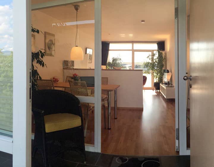 Bright Appartment With Sky View - Freiburg im Breisgau