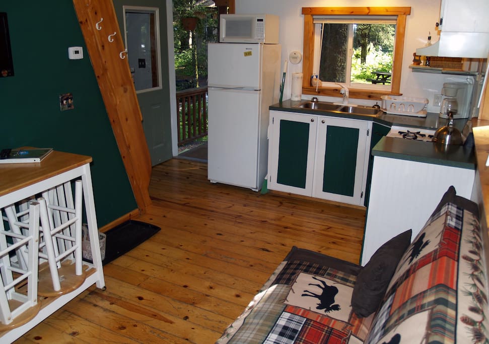 Kitchen and Common Area (Futon)