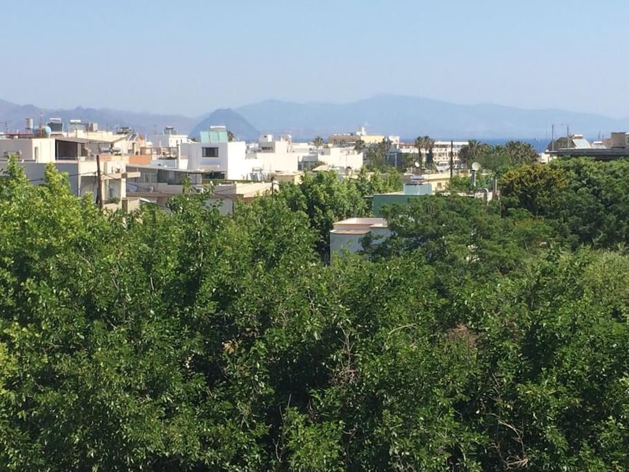View from balcony