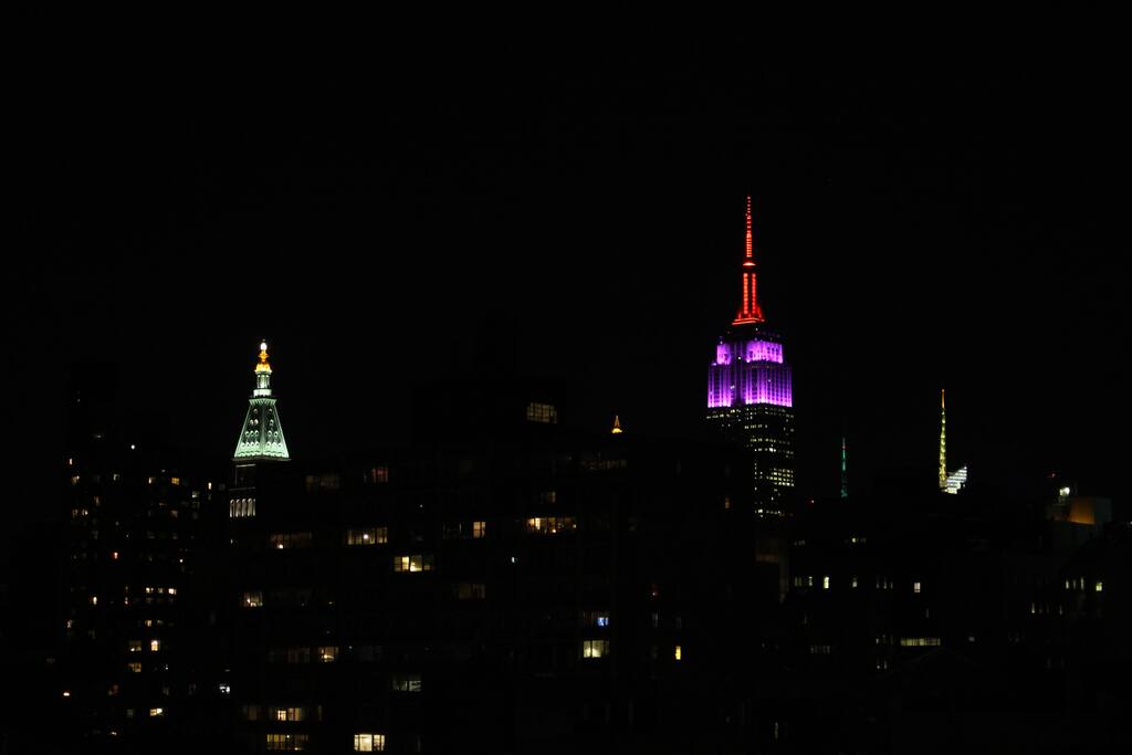 View from the rooftop (Empire State Building)
