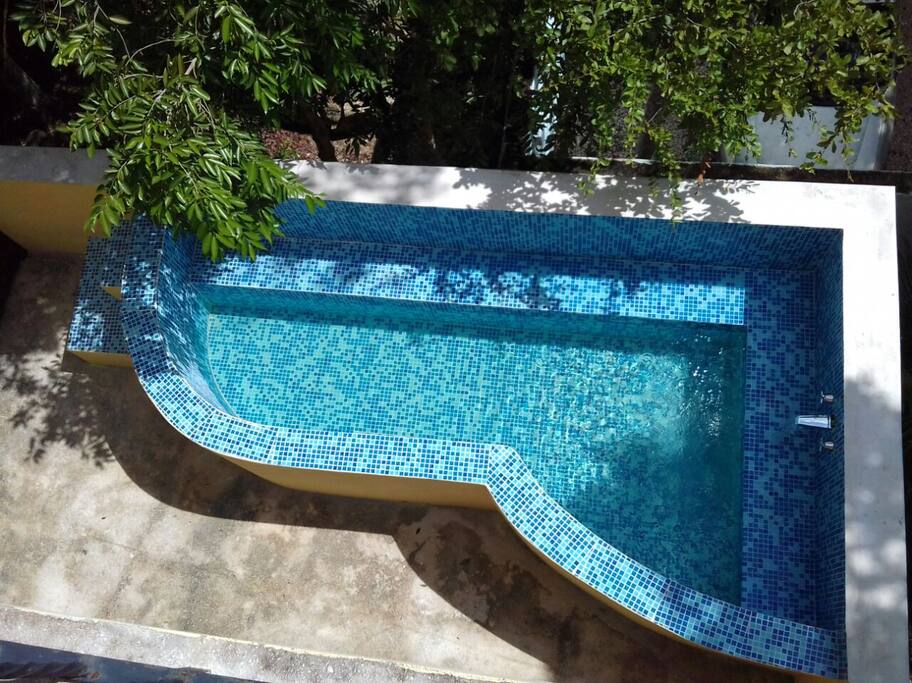 Our specially designed plunge pool that you empty to water the garden!