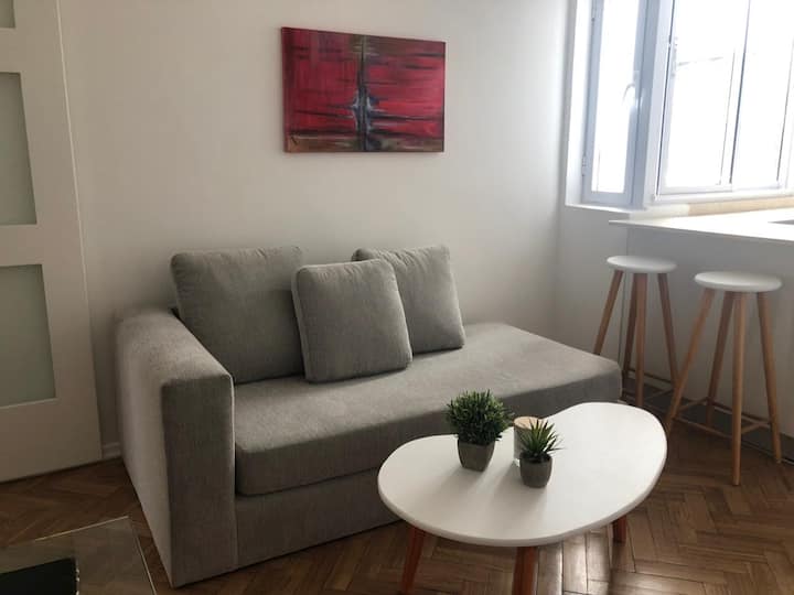 Remodelled two-bedroom apartment in Recoleta