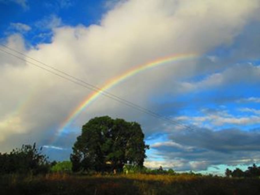 Now and then there is rainbow right in front of the property.