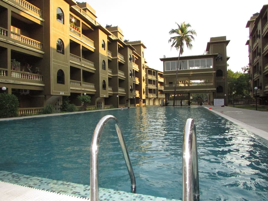 Olympic Size pool for adults and separate pool for kids along with gymnasium