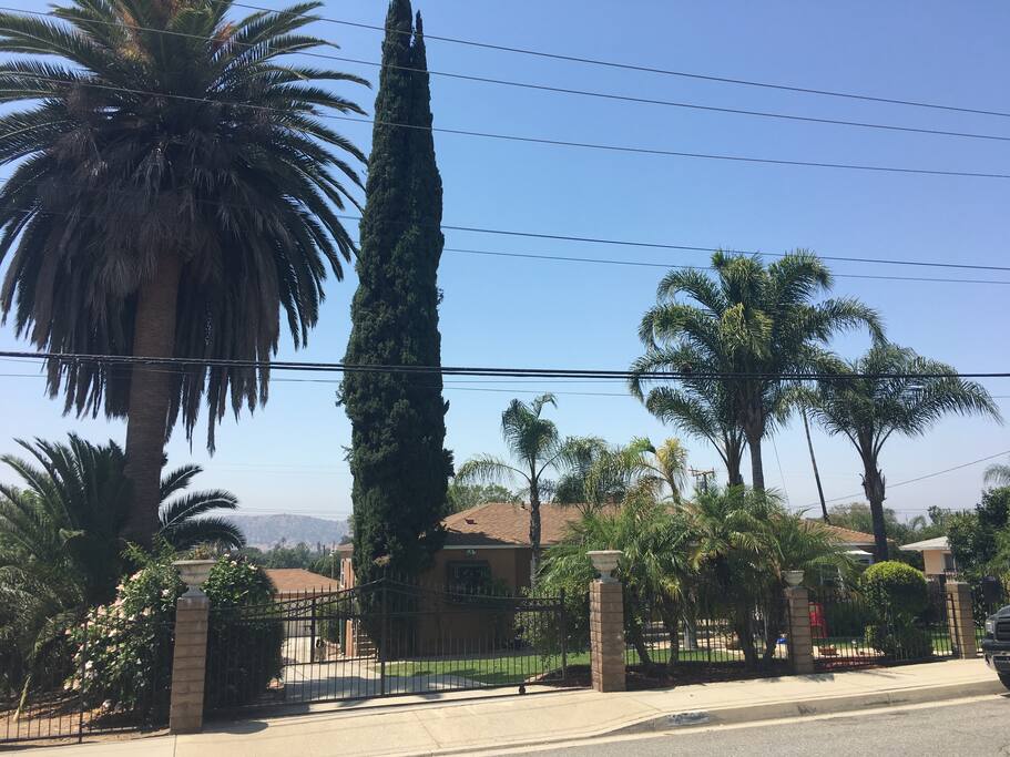 Front View of House