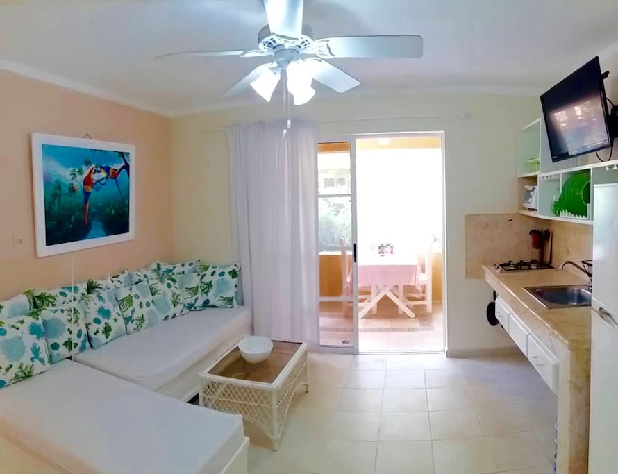 Shared area - kitchen and living room