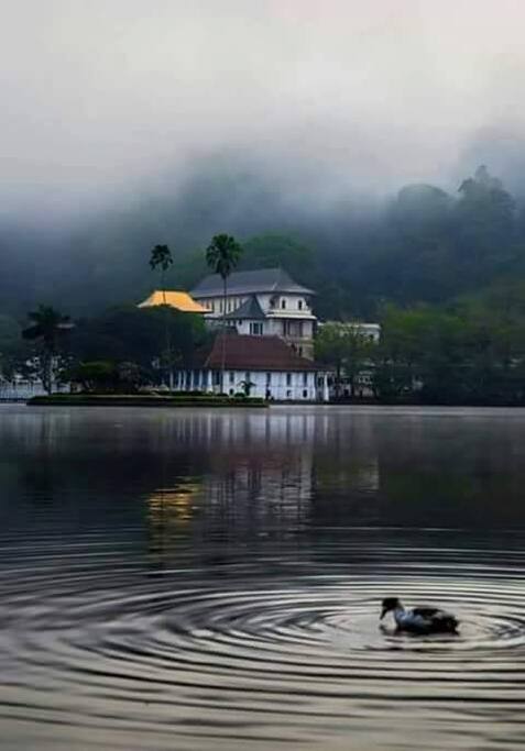Temple of tooth in my city