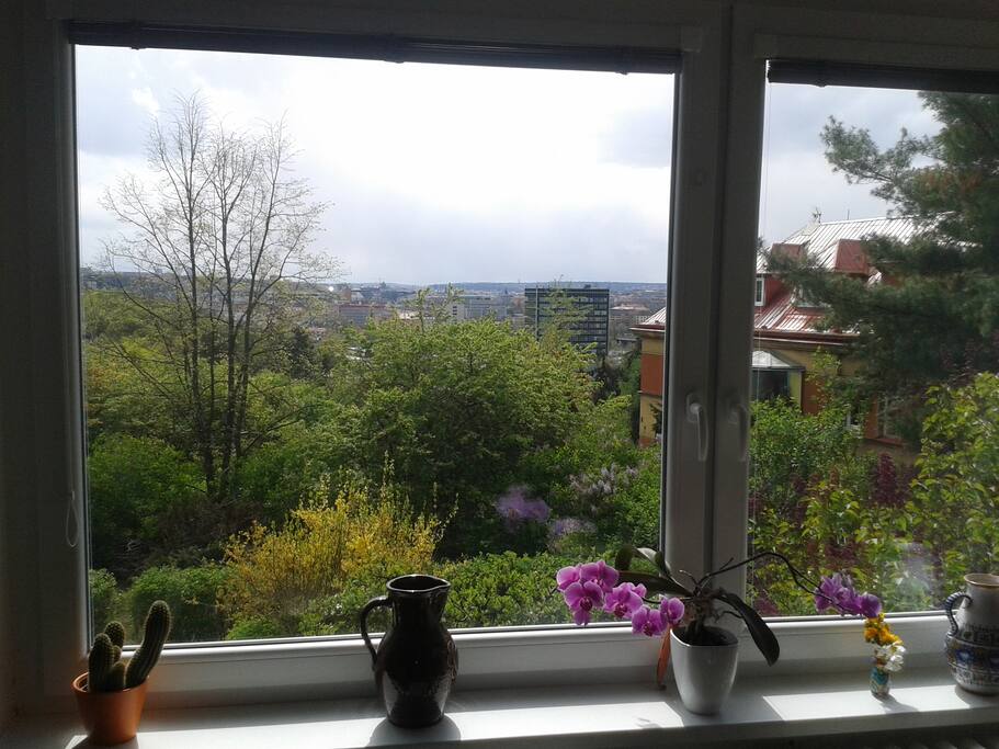 View from living room