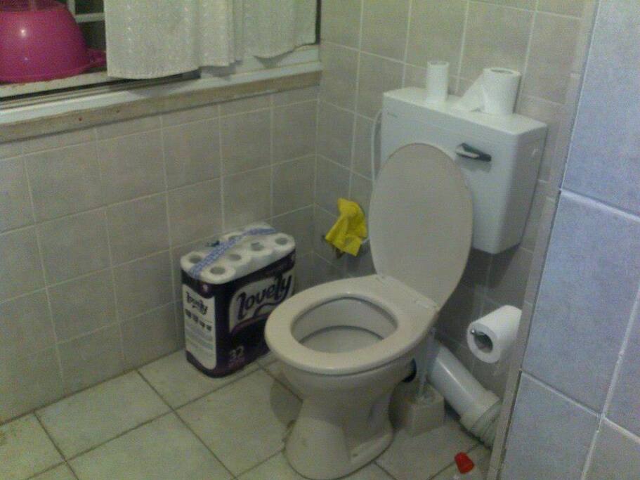 Toilet