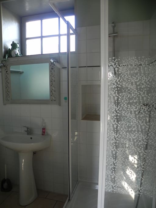 salle de bain avec douche