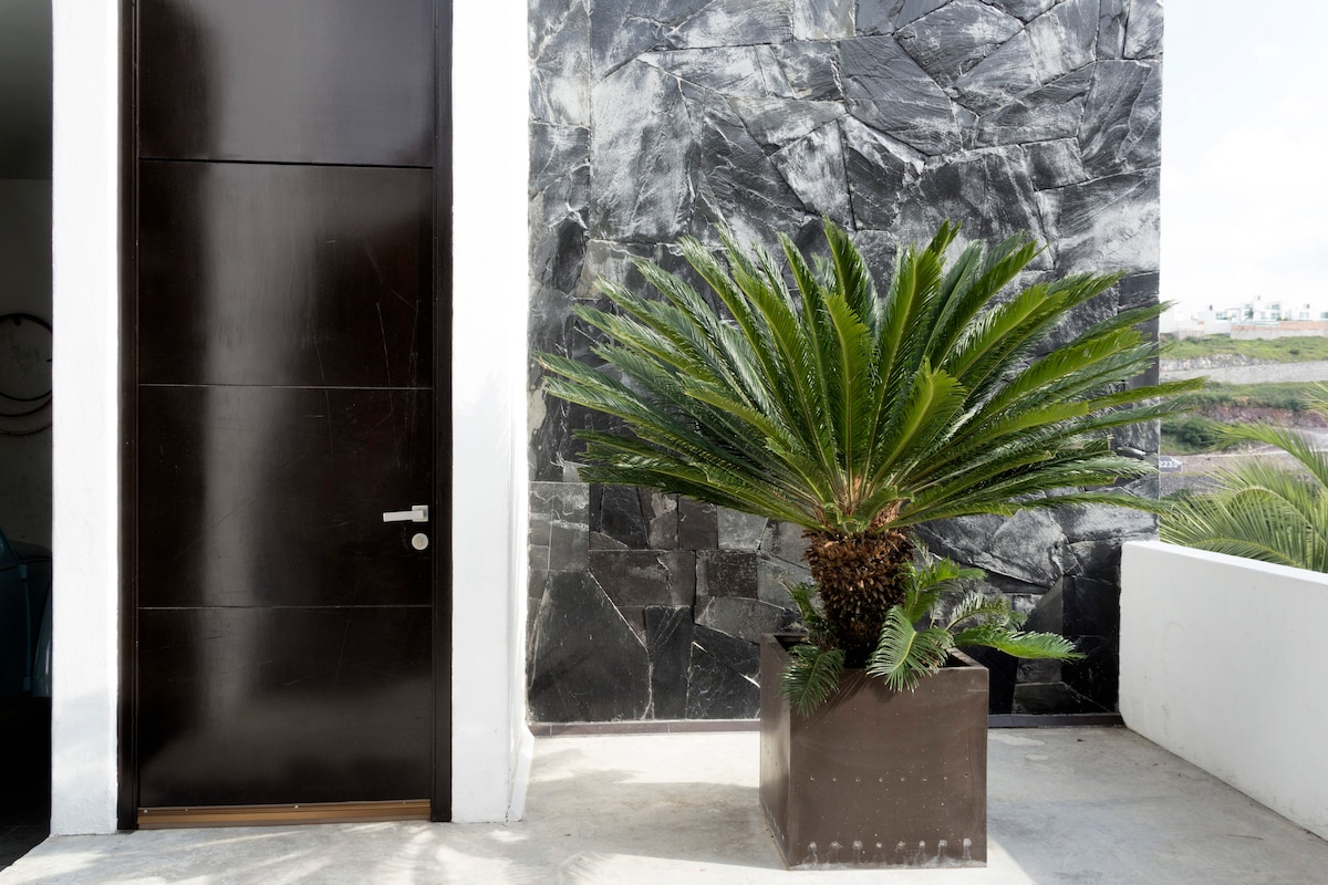 An elegant entrance showcases a dark wooden door set against a textured stone wall. A large green plant in a minimalist pot adds a touch of natural beauty to the contemporary design.
