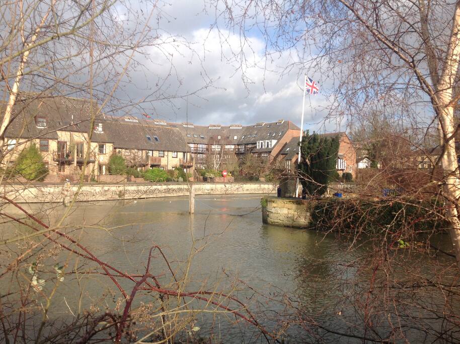 Apartment building viewed from across the river