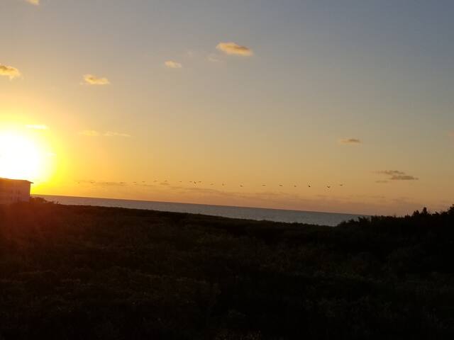 1 BR-Peaceful Ocean view retreat. Florida Keys!
