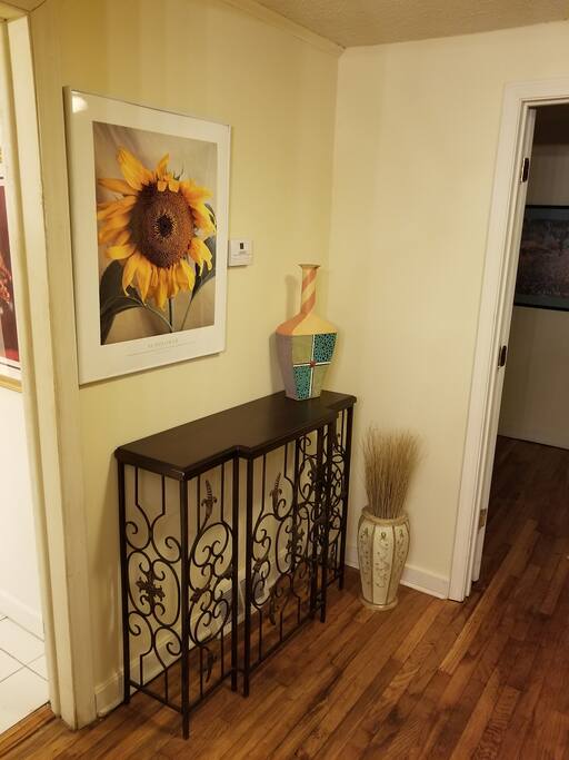 view in front of you as you open front door