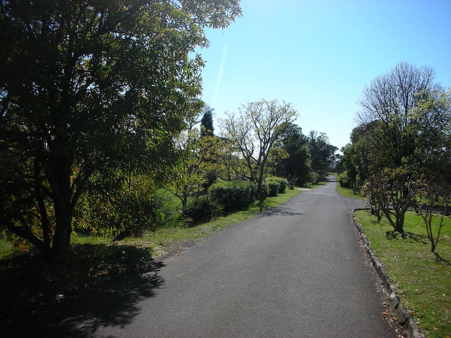The driveway into St Joseph's