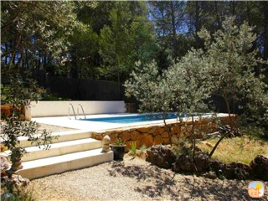 The pool from the terrace.