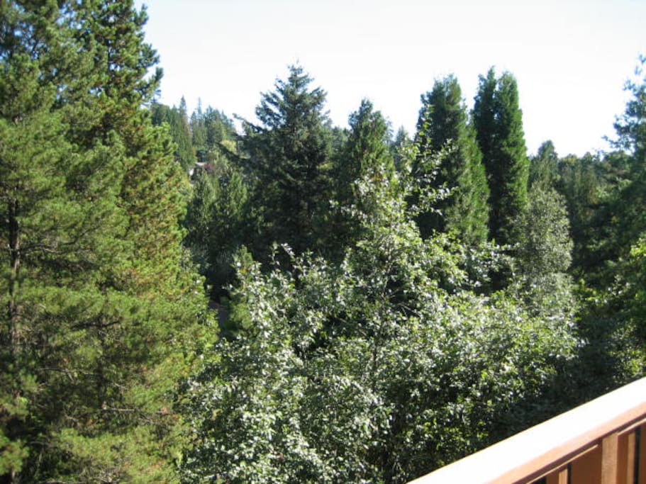 Fully Equipped Apartment - Apartments for Rent in Portland, Oregon