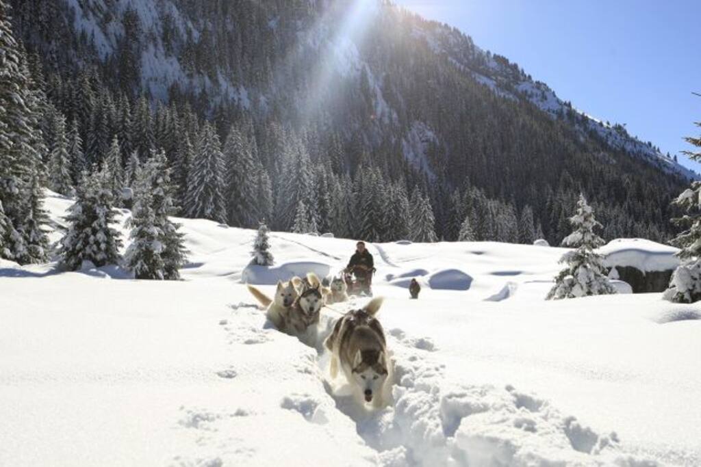 Husky Ride