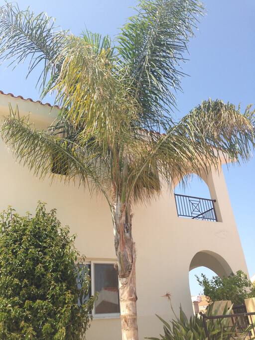 Side Elevation