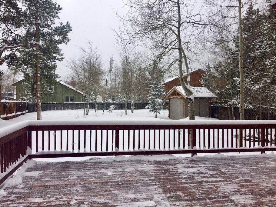 Backyard with large Deck. Get lots of sun!