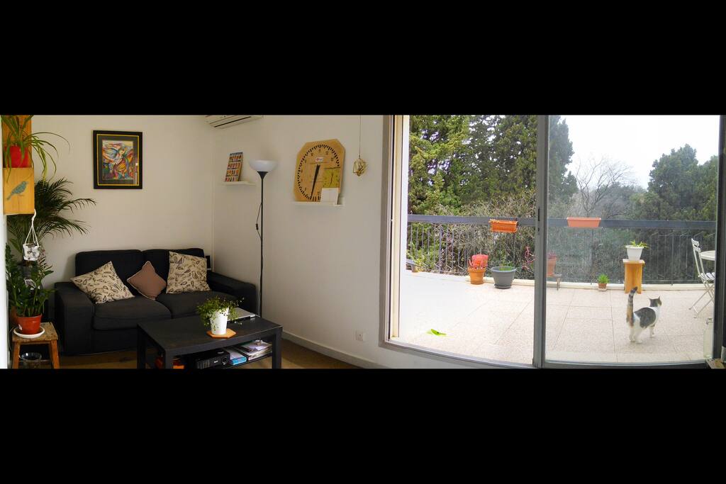 La partie salon