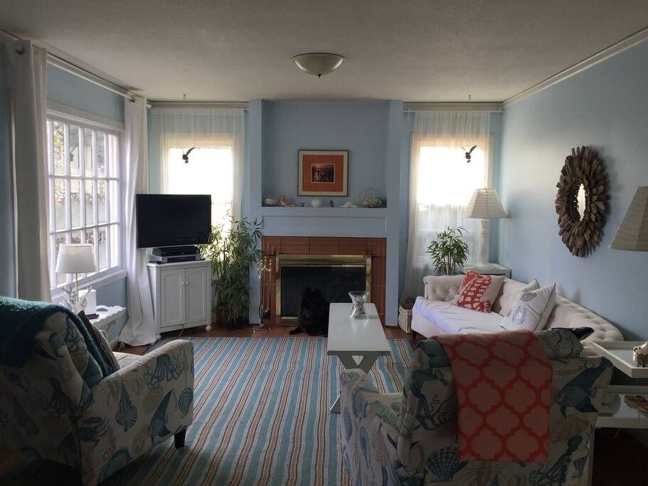 Comfortable Living Room - photo 1