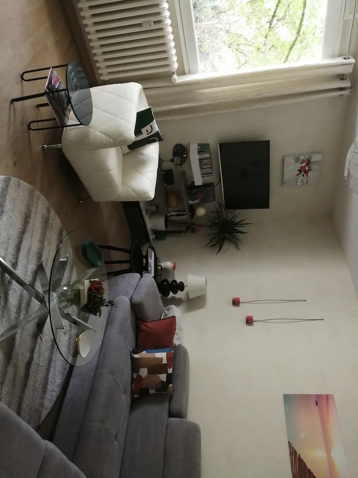 Appartement Centre Ville Au Bord De La Rivière. - Poitiers
