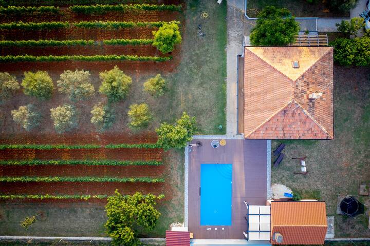 Holiday house Vineyard in Pula with pool