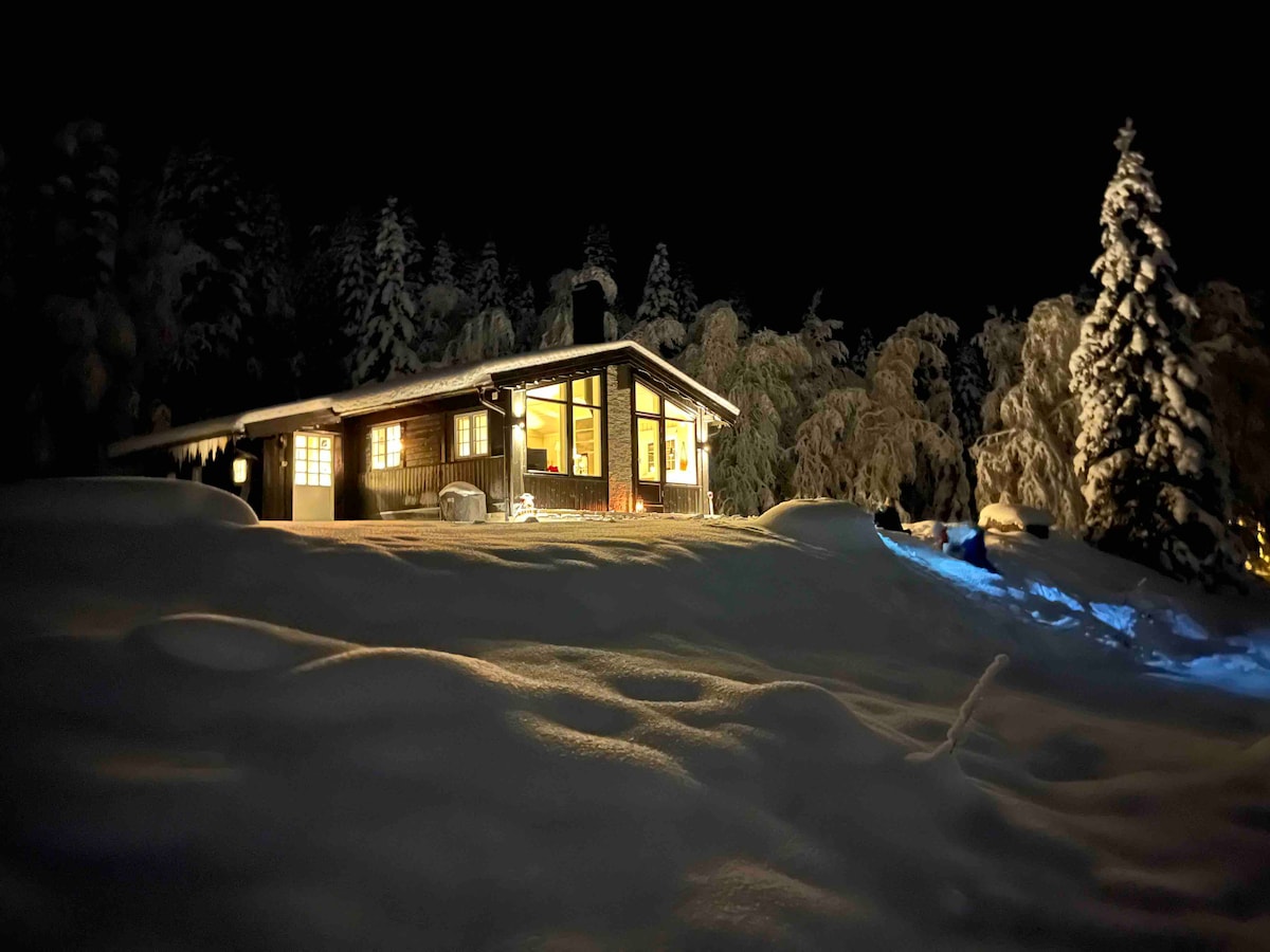 The modern cabin is illuminated at night, surrounded by snow-covered terrain and tall trees. Warm light emanates from large windows, reflecting off the white snow and creating a serene winter ambiance. The sloping landscape and gentle contours lead up to the cabin's entrance.