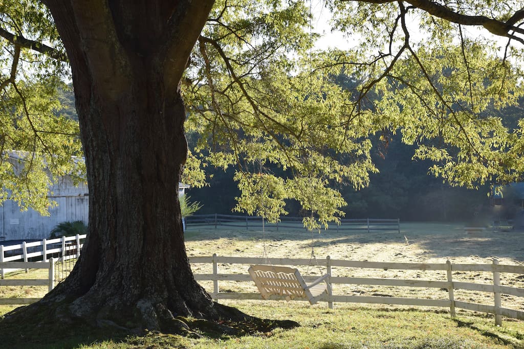 Step back in time on this 150 year old property