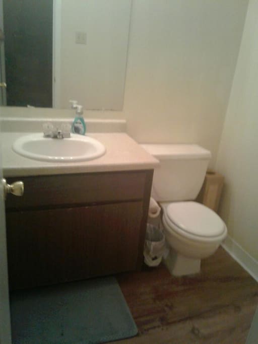 Toilet and sink
