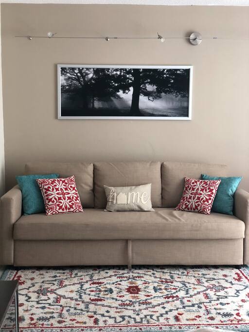 Couch - Sofa Bed
