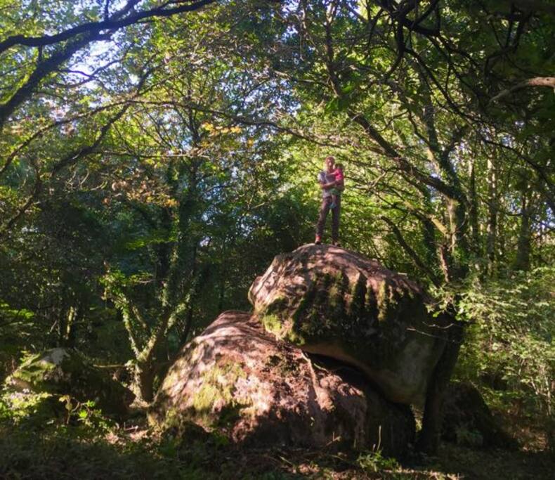 The Treestone in the heart of the woods