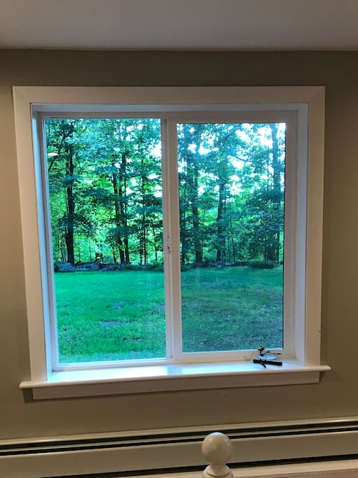 bedroom window with view to open yard and tree line in the distance