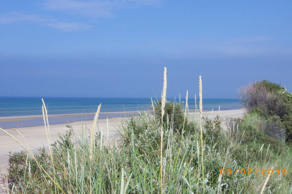 Kjul Strand