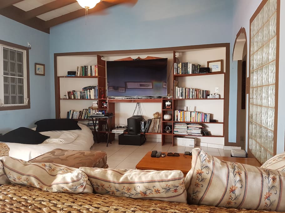 Living room area with 65 inch Samsung Curved smart T.v., book selection, PlayStation 4 and Bose sound system.