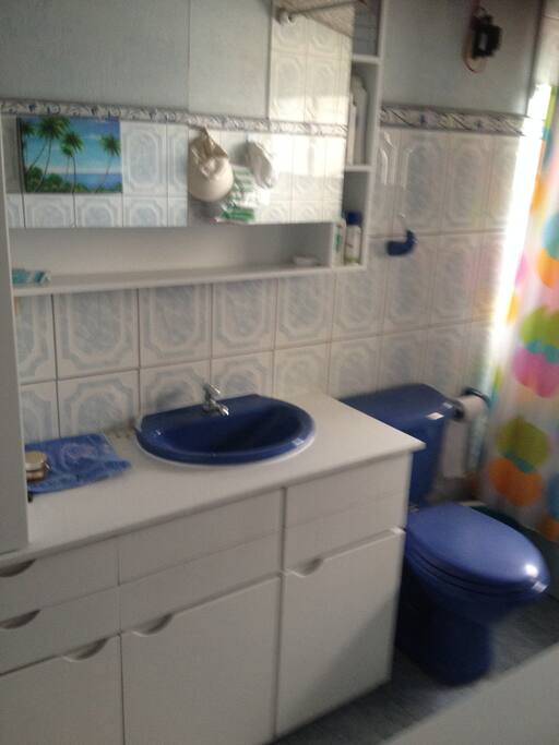 Baño de la casa